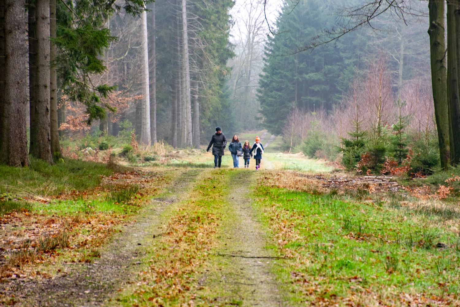 Wandelen bij Brasserie de la Lienne
