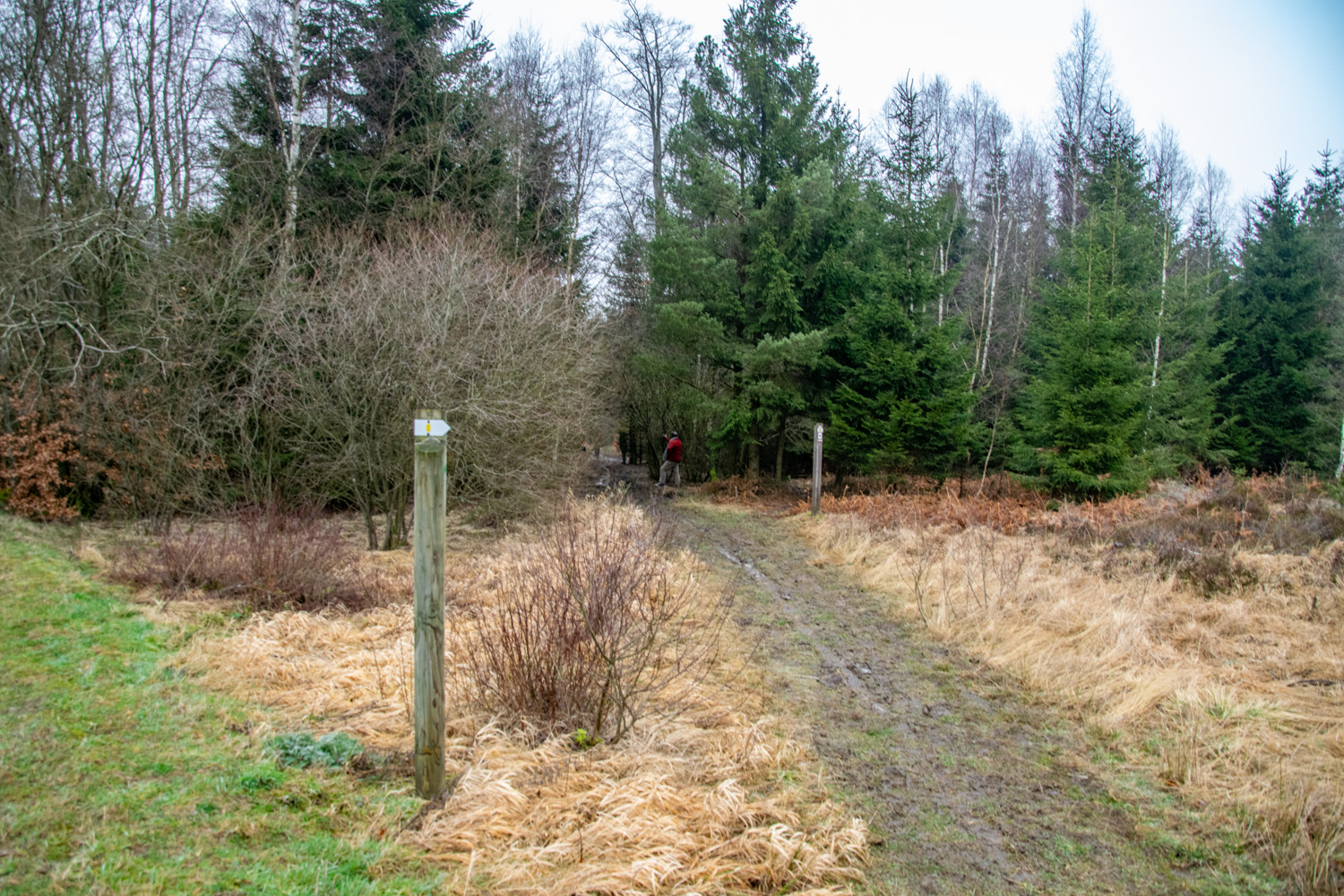 Wandelen in de Ardennen - alles over de Ardennen