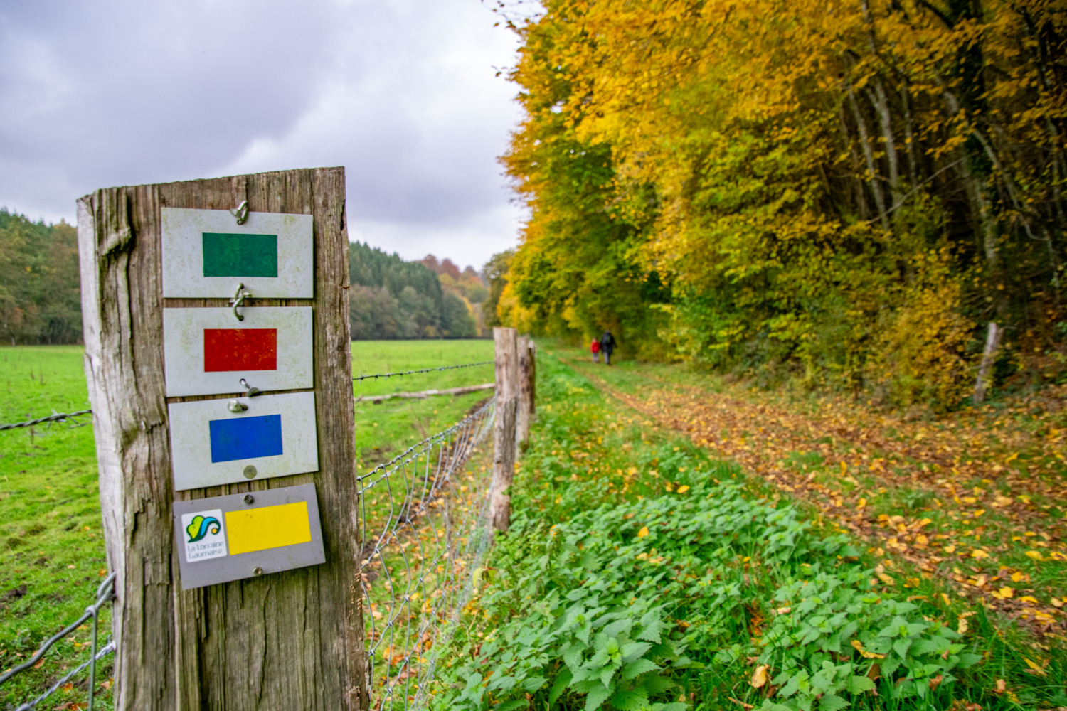 Wandelen bij Orval - alles over de Ardennen