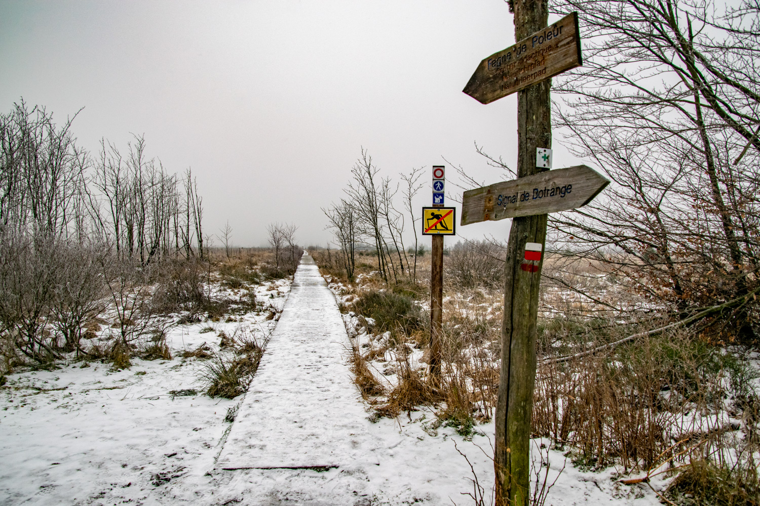 Wandelingen in de Hoge Venen - alles over de Ardennen