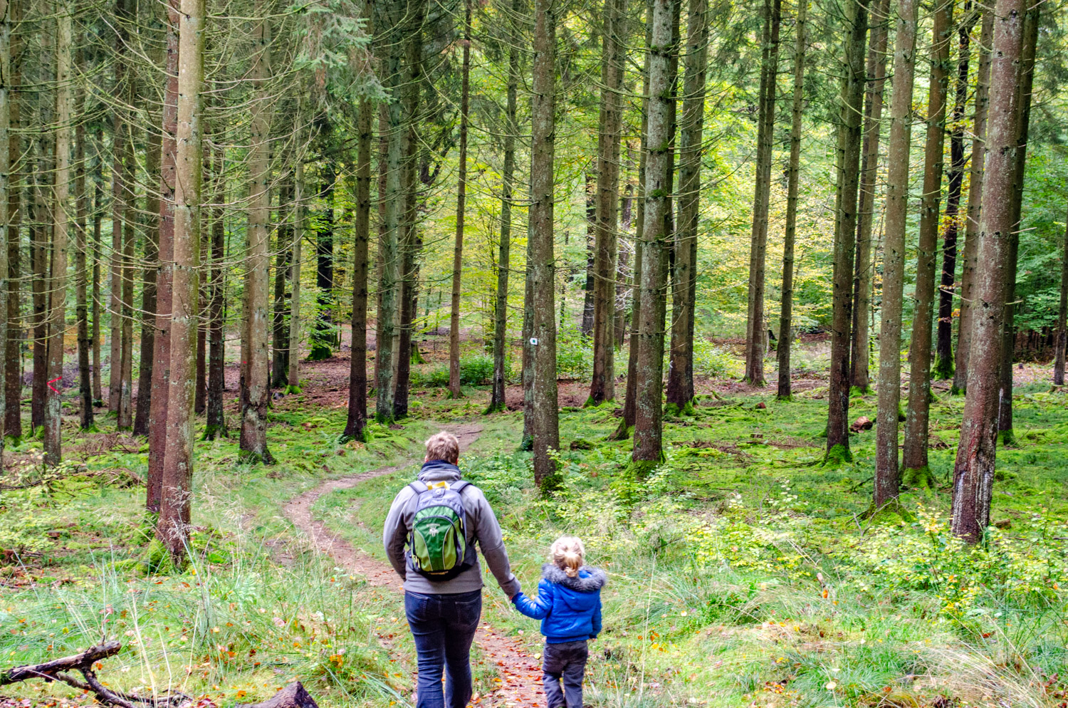 Wandelen bij Froidfontaine - alles over de Ardennen