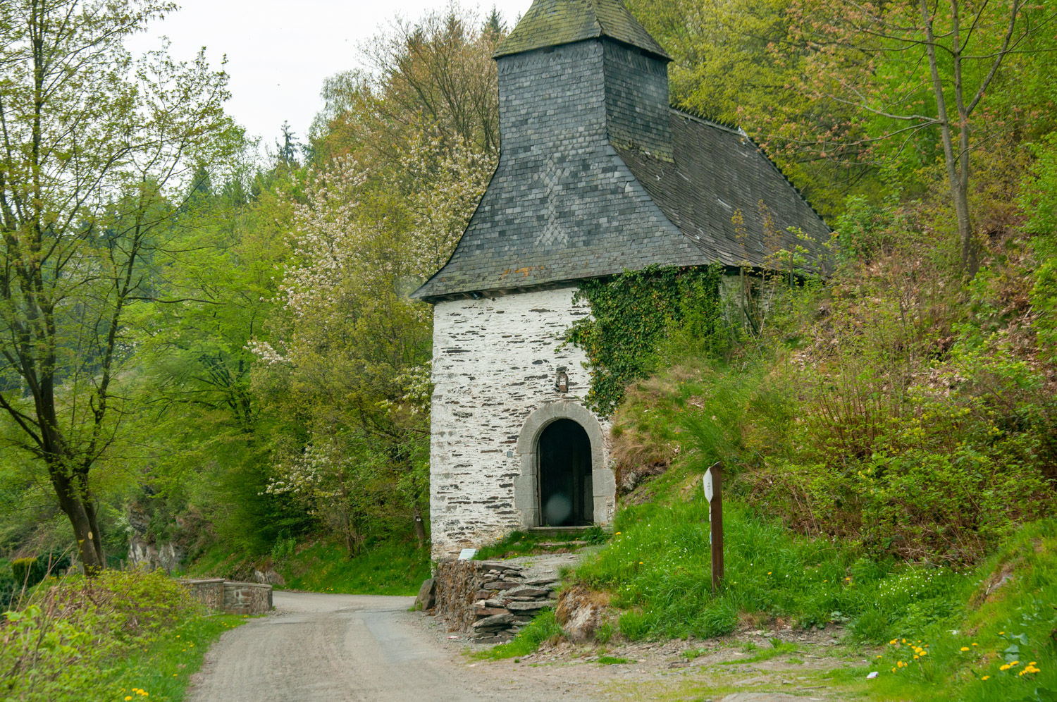 Wandeling 4 bij La Roche en Ardennen - alles over de Ardennen