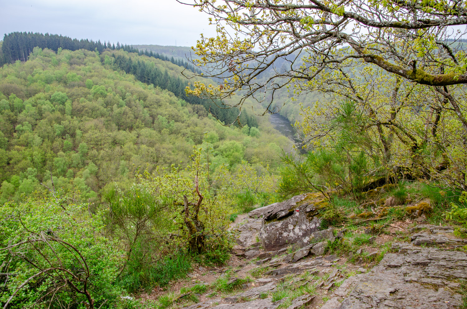Wandeling naar Le Hérou bij Nadrin - alles over de Ardennen