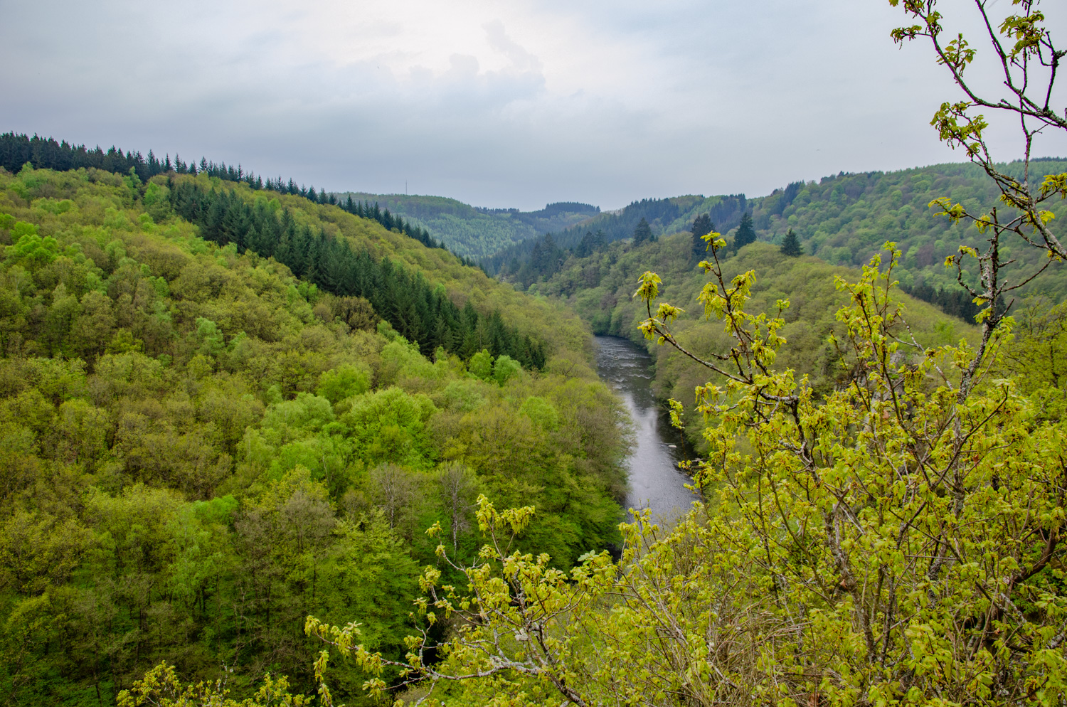 Wandeling naar Le Hérou bij Nadrin - alles over de ardennen