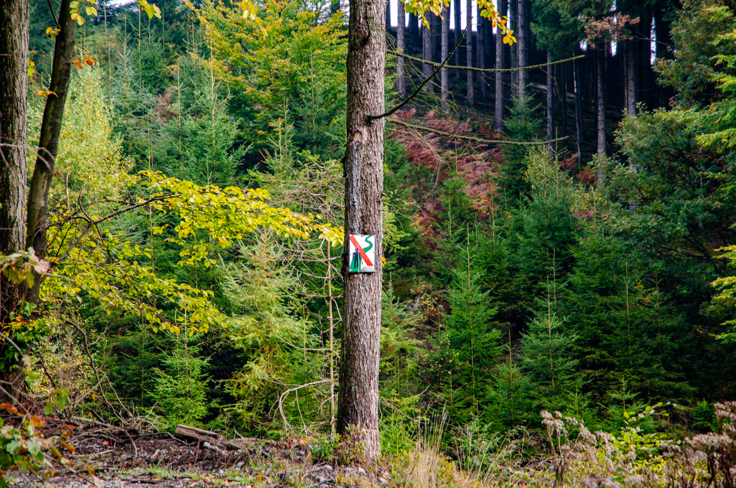 Geocaching in de Ardennen