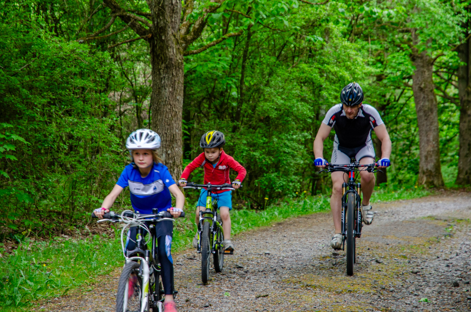 Mountainbiken in de Ardenne - alles over de Ardennen