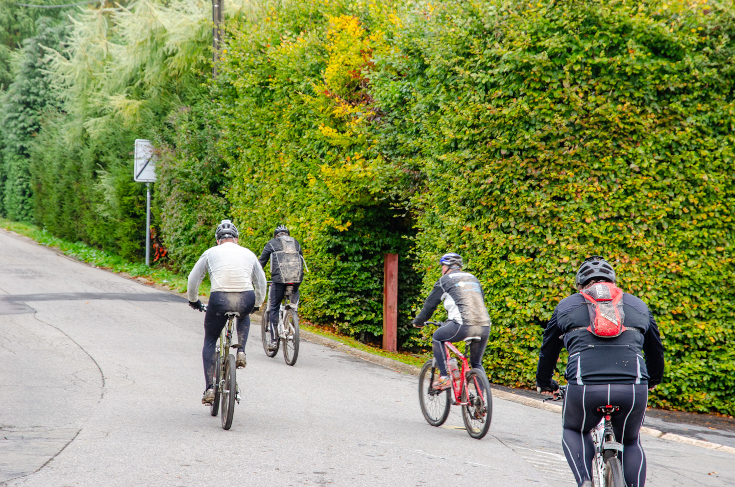 Mountainbiken in de Ardennen - alles over de Ardennen
