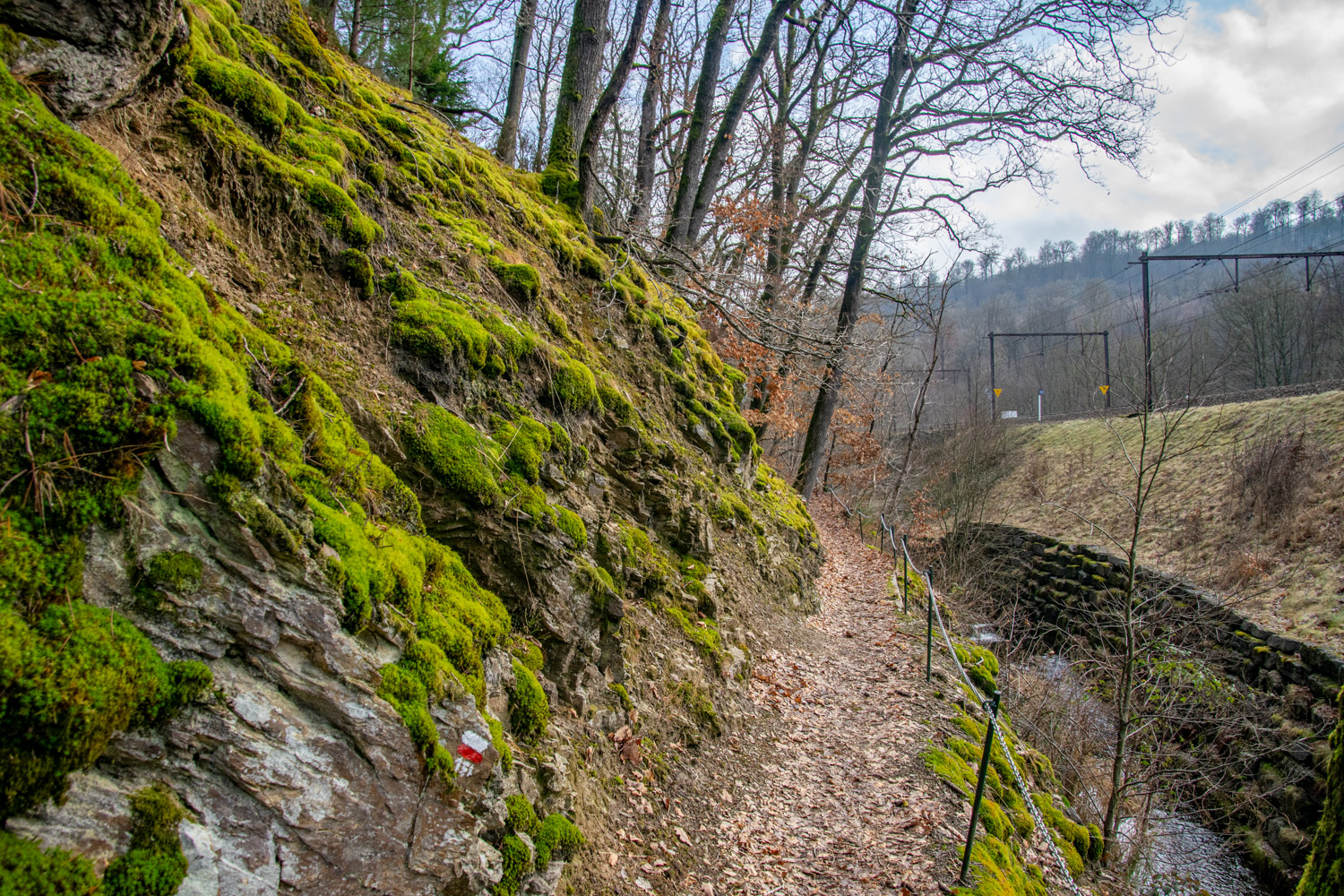 Wandelen in de Ardennen - alles over de Ardennen
