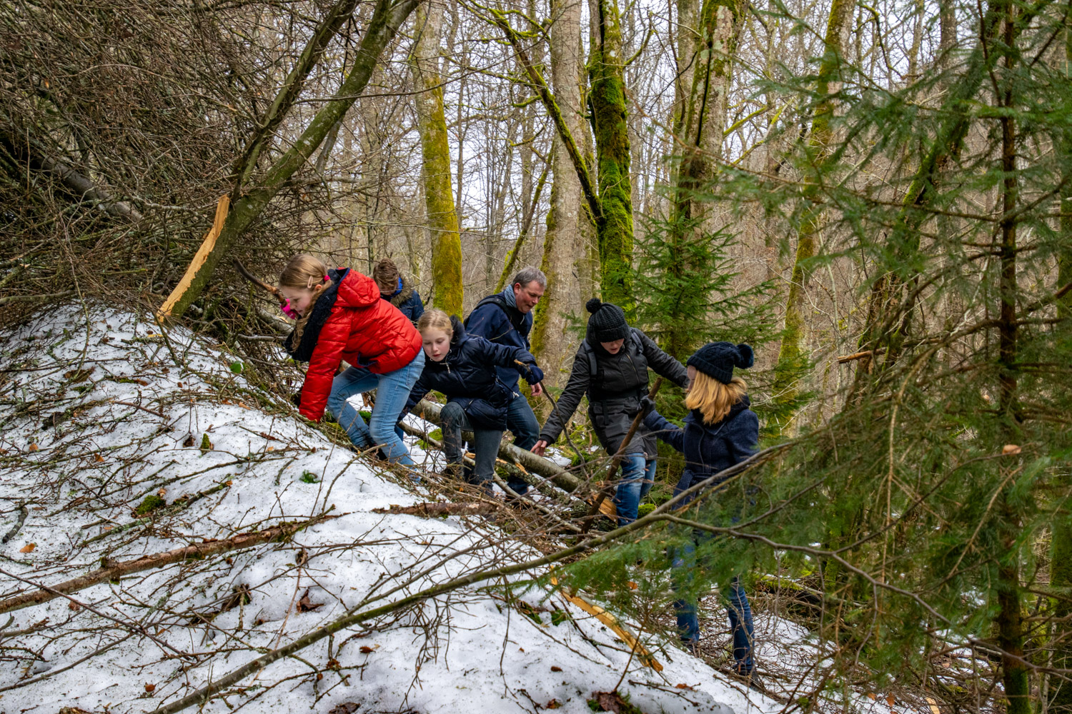 Wandeling bij Samree - alles over de Ardennen