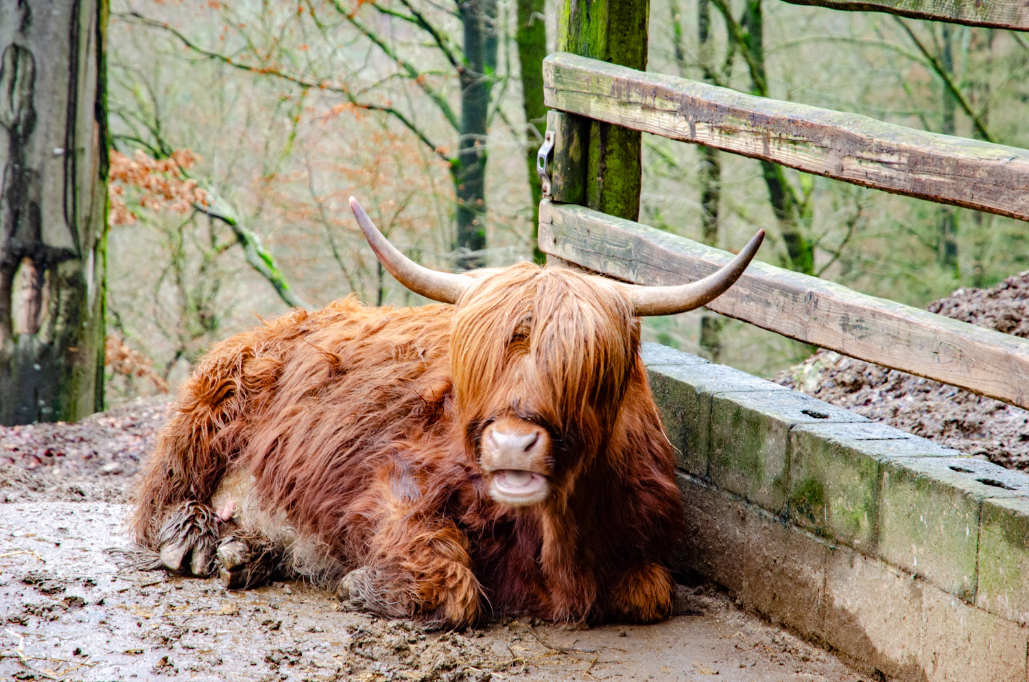 Dierenpark van Bouillon - alles over de Ardennen