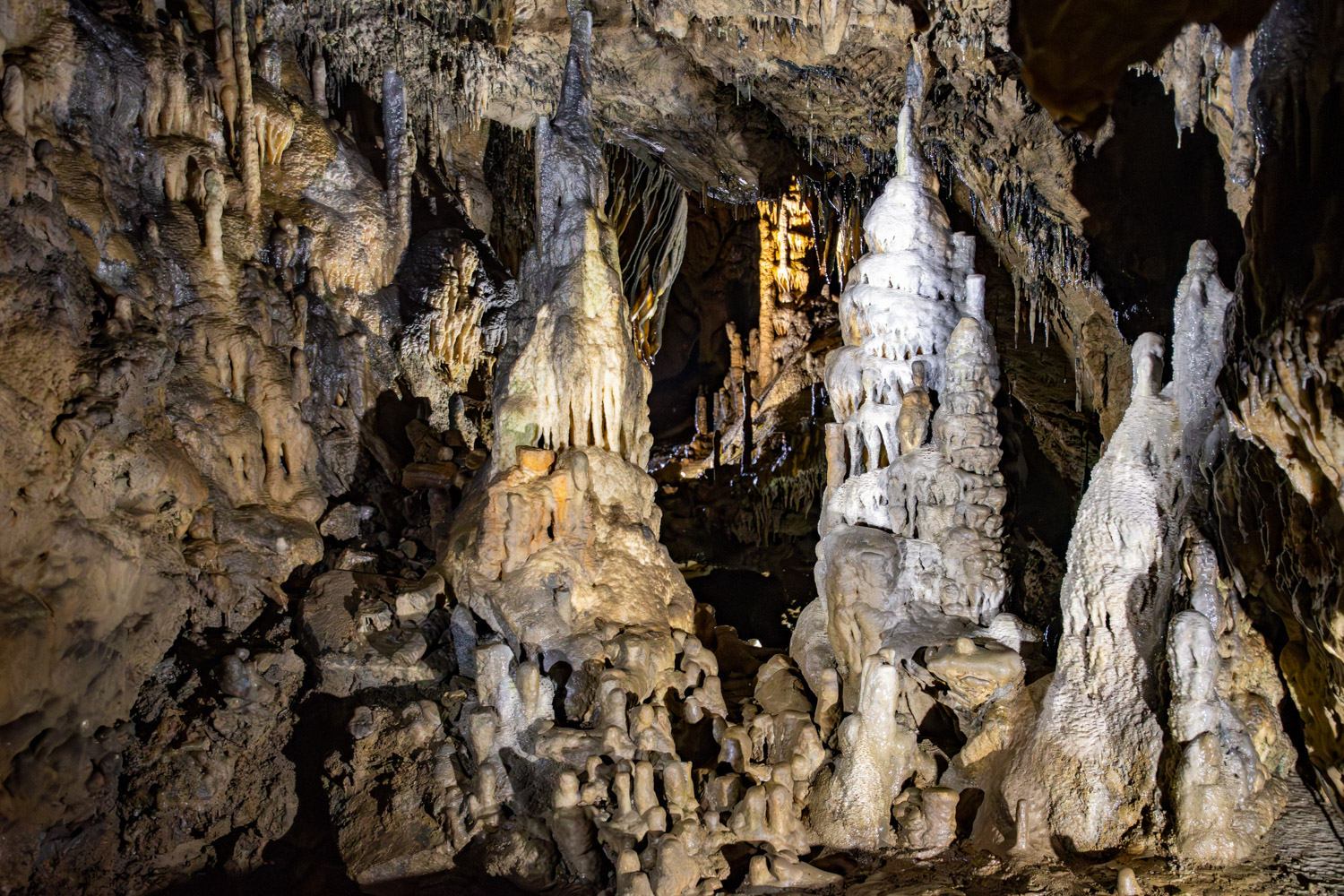 alles over de Ardennen - grotten