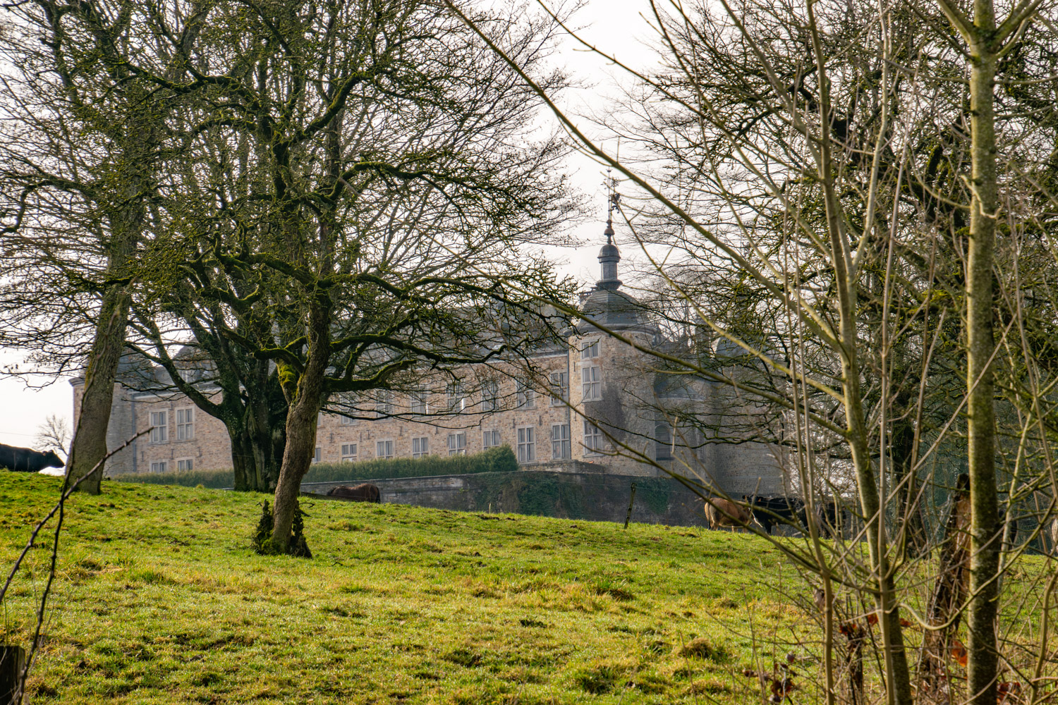 Kasteel van Mirwart - alles over de Ardennen