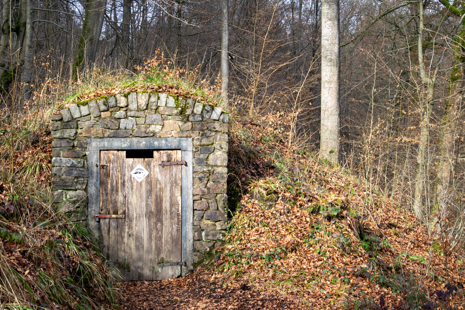 De Promenade de la Glacière - alles ovder de Ardennen