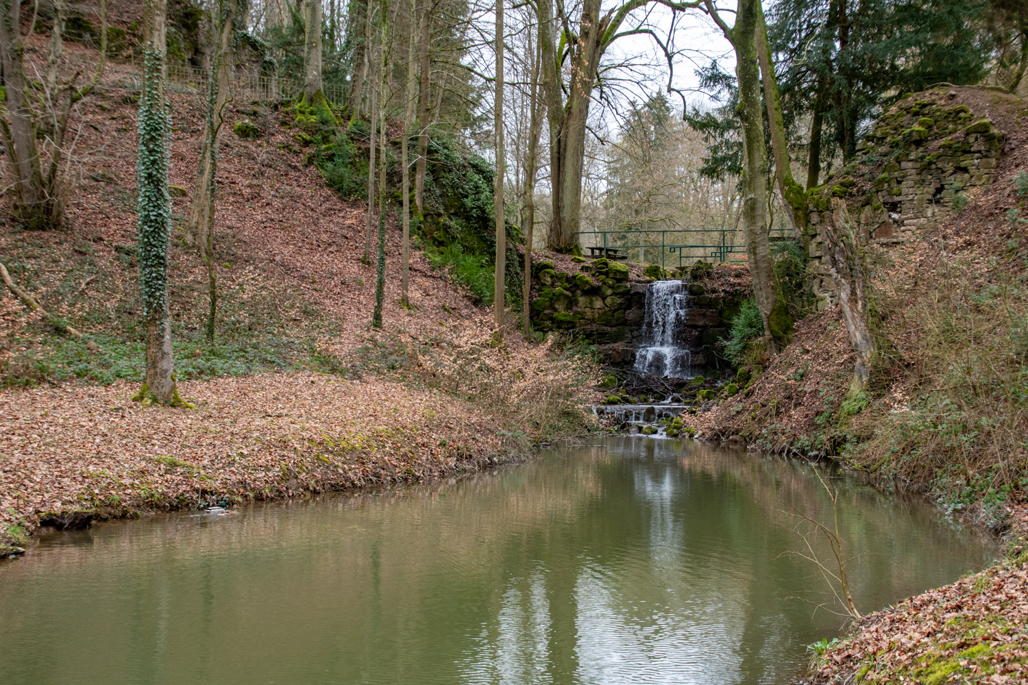 Wandeling bij het wildpark van Saint-Hubert - alles over de Ardennen