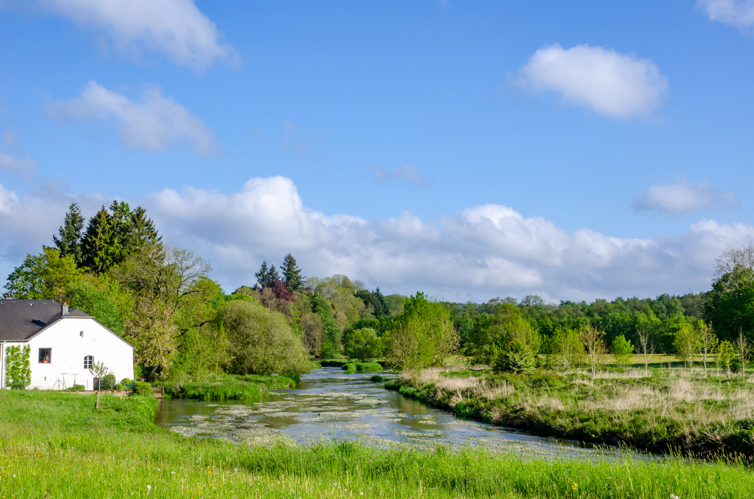 Lacuisine - alles over de Ardennen