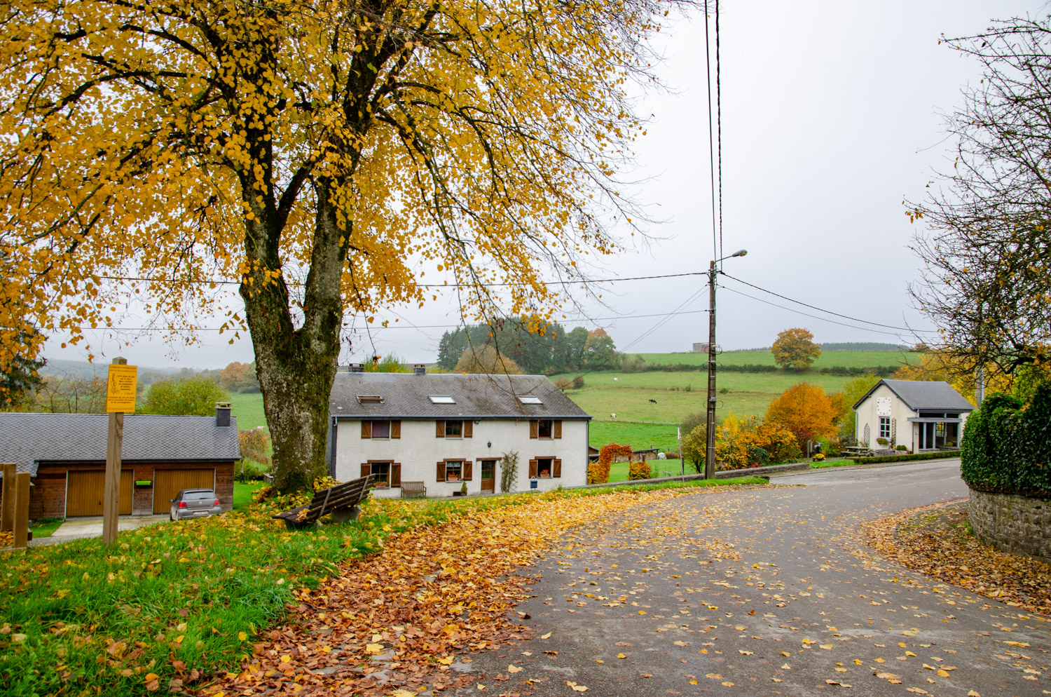 Menugoutte - alles over de Ardennen