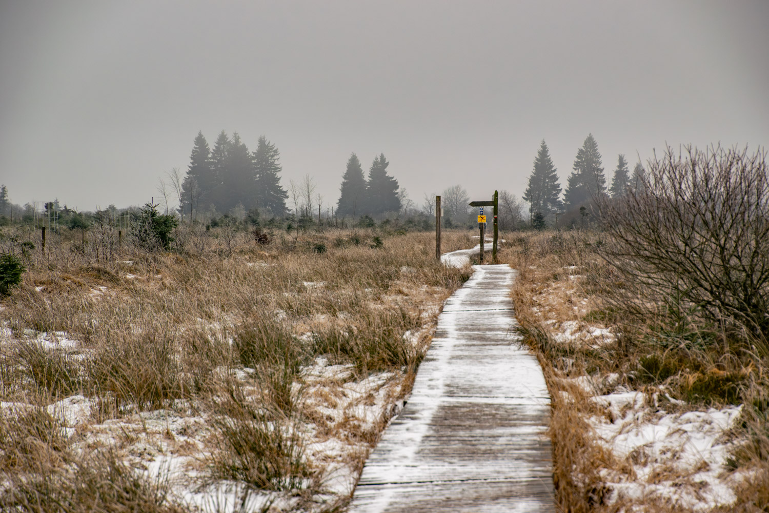 Het weer in de Ardennen in december - alles over de Ardennen