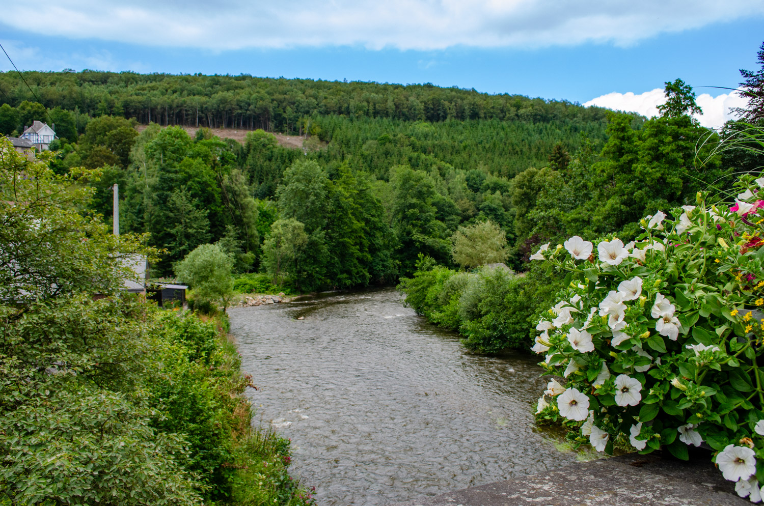 Het weer in juli in de Ardennen - alles over de Ardennen