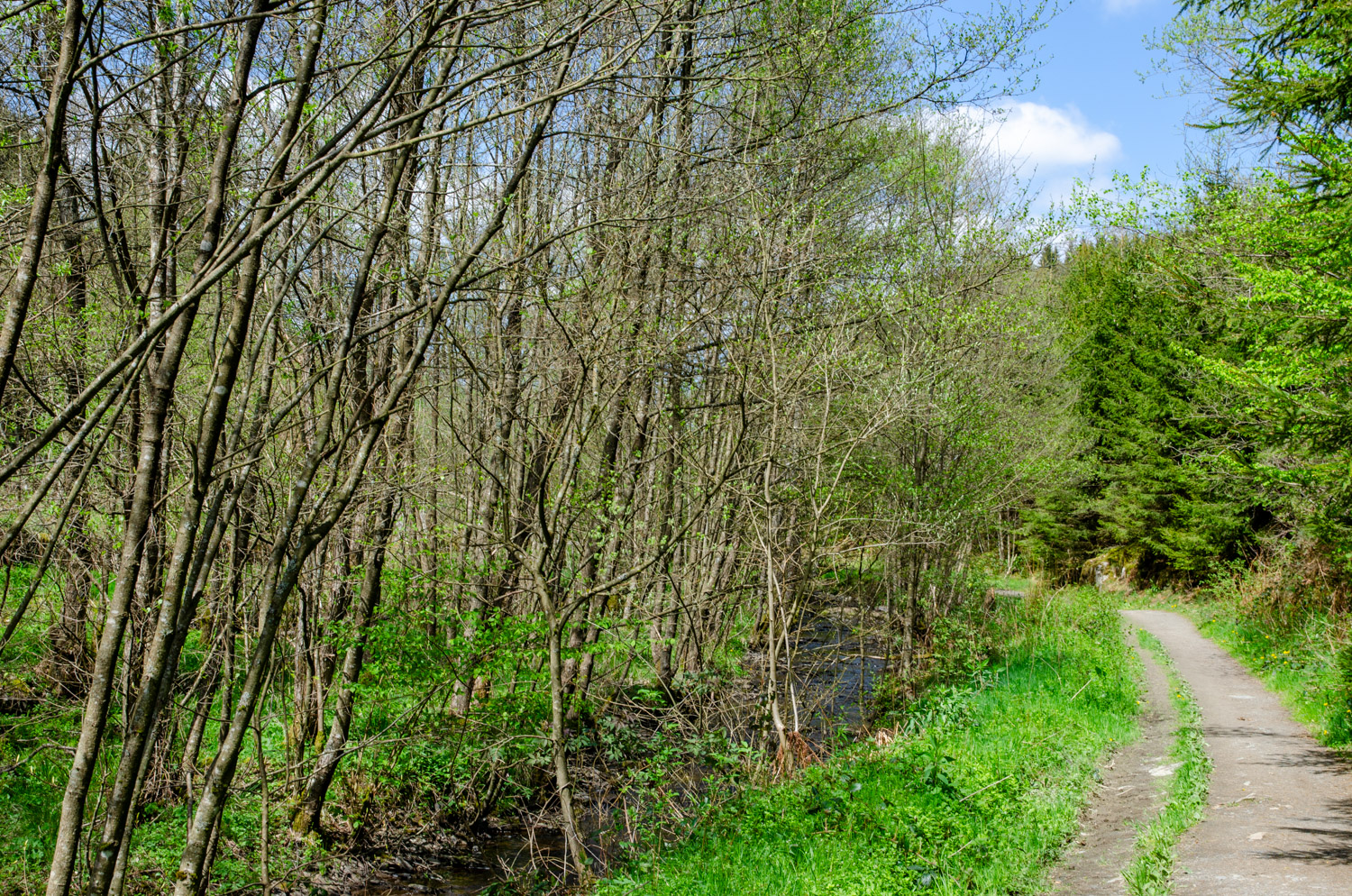 Het weer in mei in de Ardennen - alles over de Ardennen