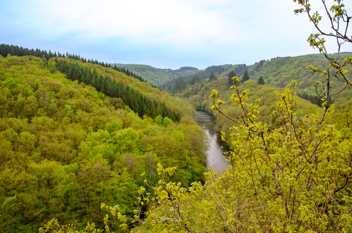 Ourthe bij Le Herou