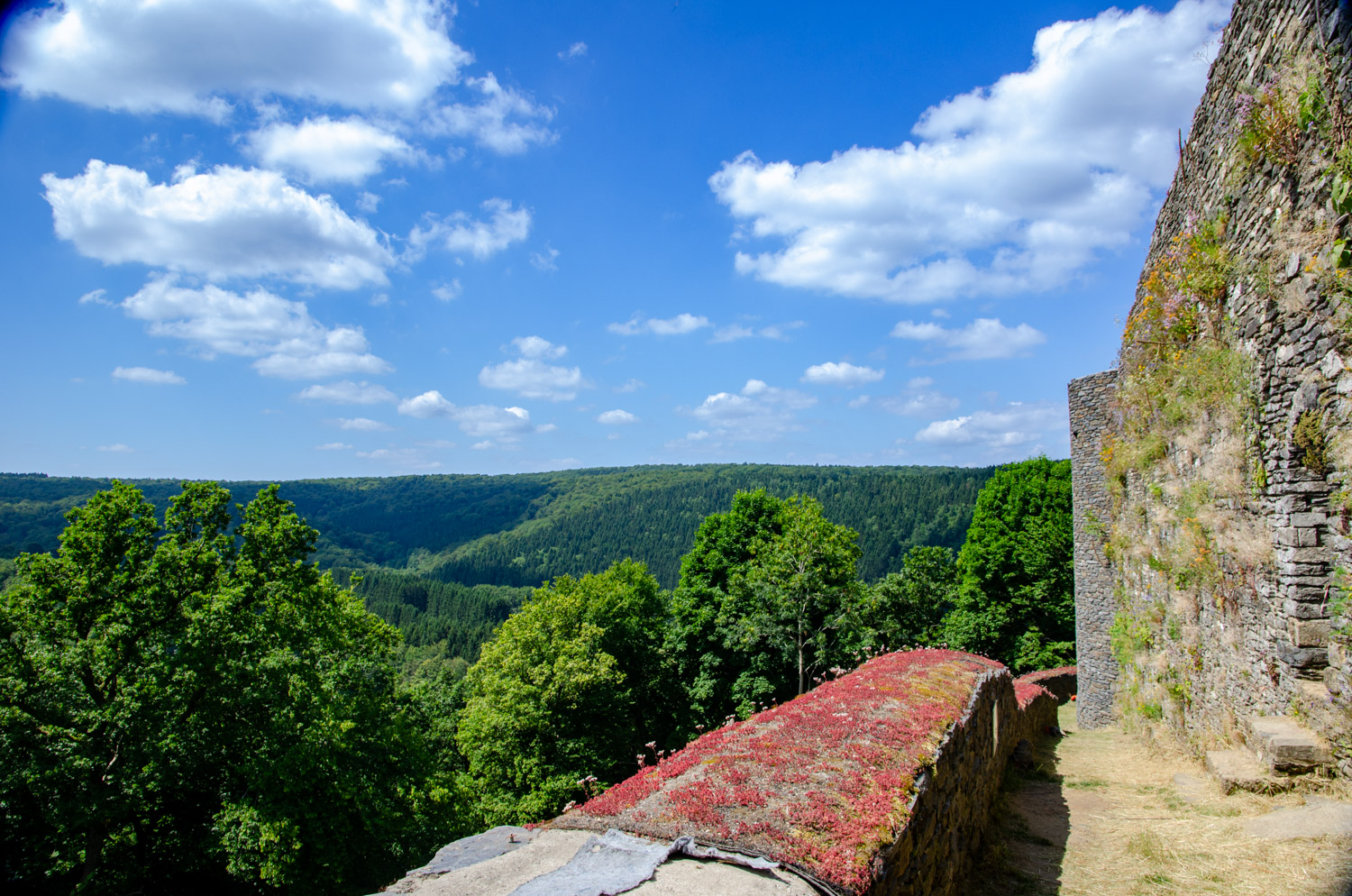 Het weer in september in de Ardennen - alles over de Ardennen